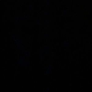 Meet your Posher, Bryn